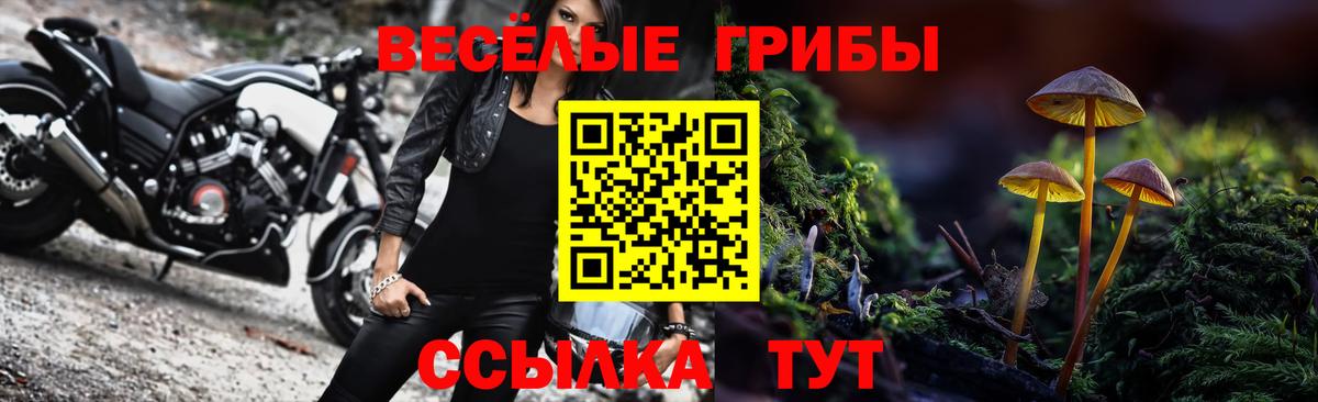 где продают наркотики  Вход с VPN  Крымск  Псилоцибиновые грибы Magic Shrooms 